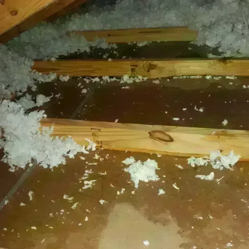 Attic Water Damage in Keokea, HI